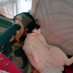 Meet your Posher, Ruth